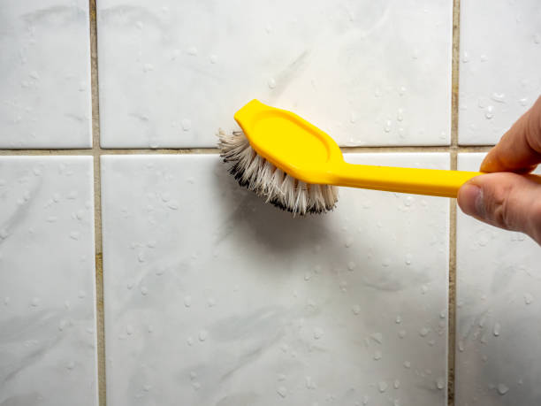 Best Certified Mold Removal  in Owensboro, KY