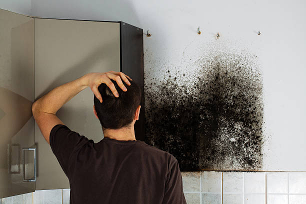Best Crawl Space Mold Removal  in Owensboro, KY